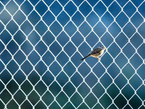 Vallas metálicas en Valladolid